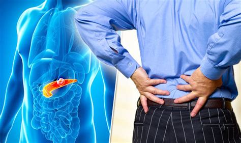 Pain can be a major problem for people with pancreatic cancer. . Pancreatic cancer back pain forum